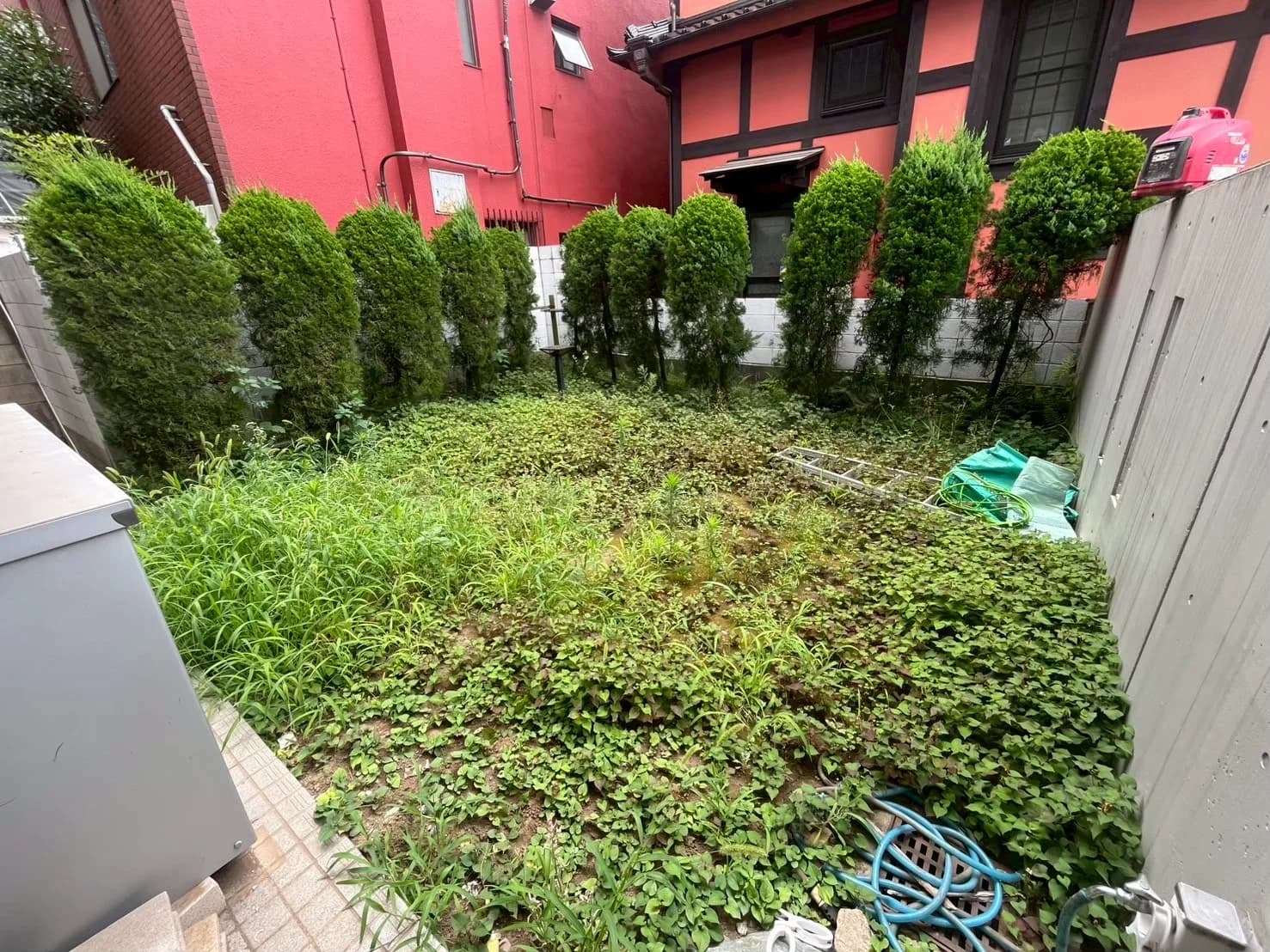 雑草が生い茂った庭